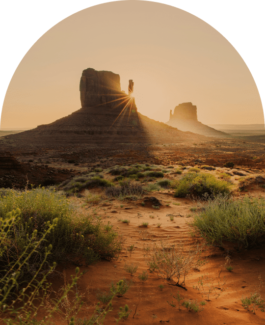 Rock formation with the sun setting in the distance and green plants