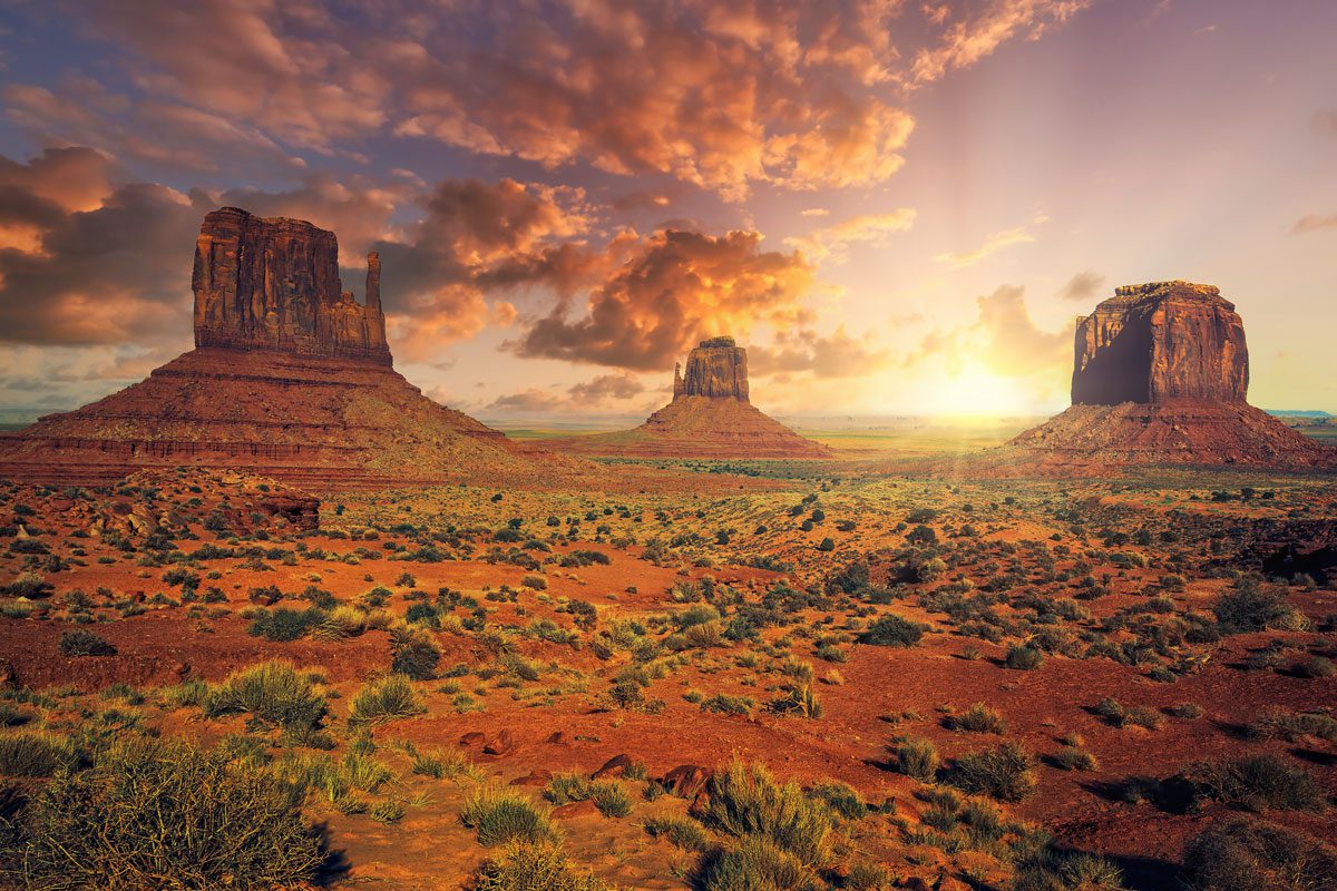 Desert Scene at sunset with rocks and plants