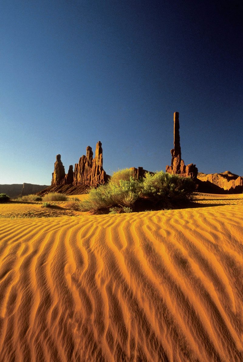 Desert Sand and plants with rocks at the horizon